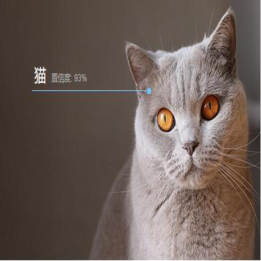 图像识别 图像识别