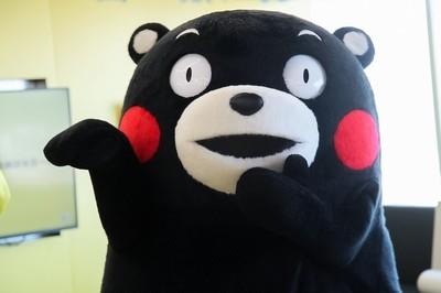 熊本熊 快懂百科