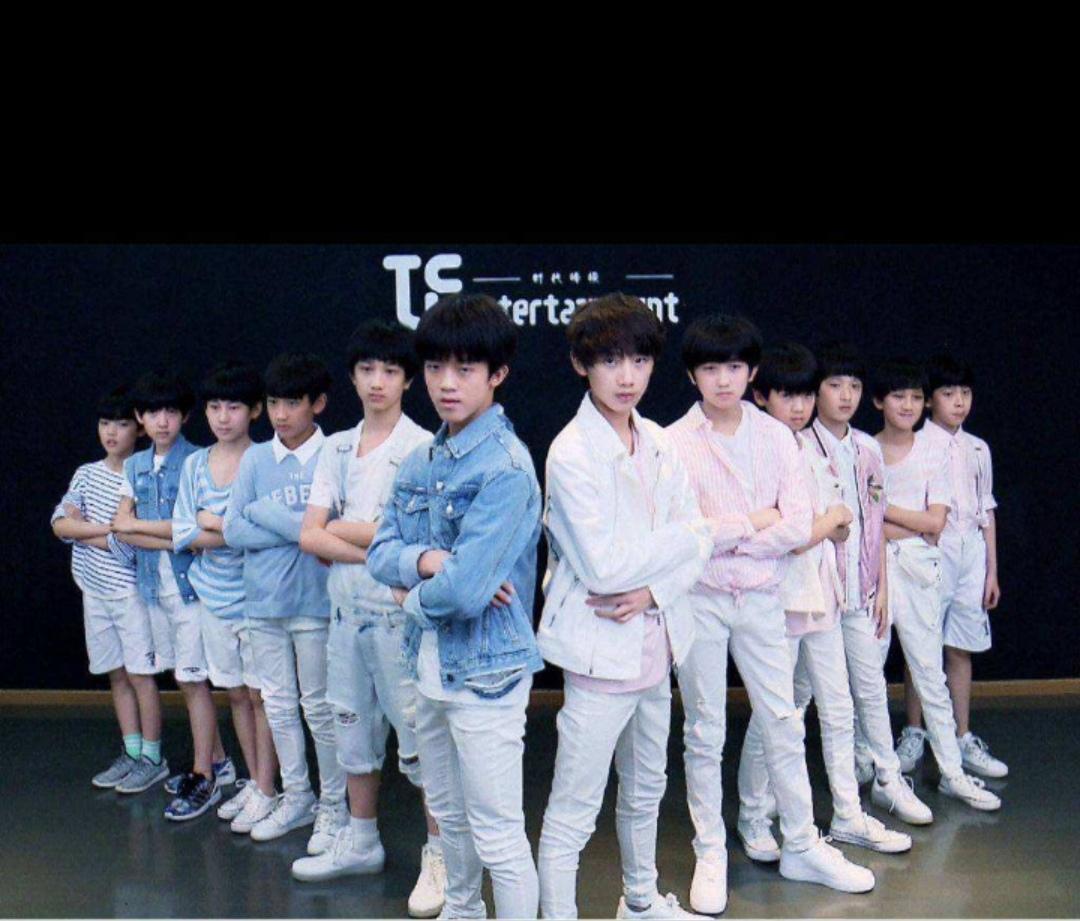 TF家族 - 快懂百科