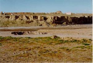 爪哇人 快懂百科