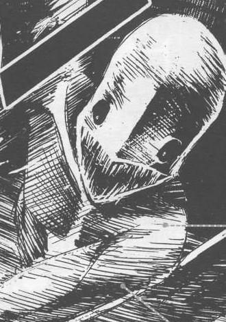 彼岸岛 快懂百科