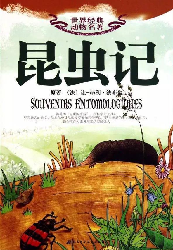 蟋蟀的住宅 快懂百科