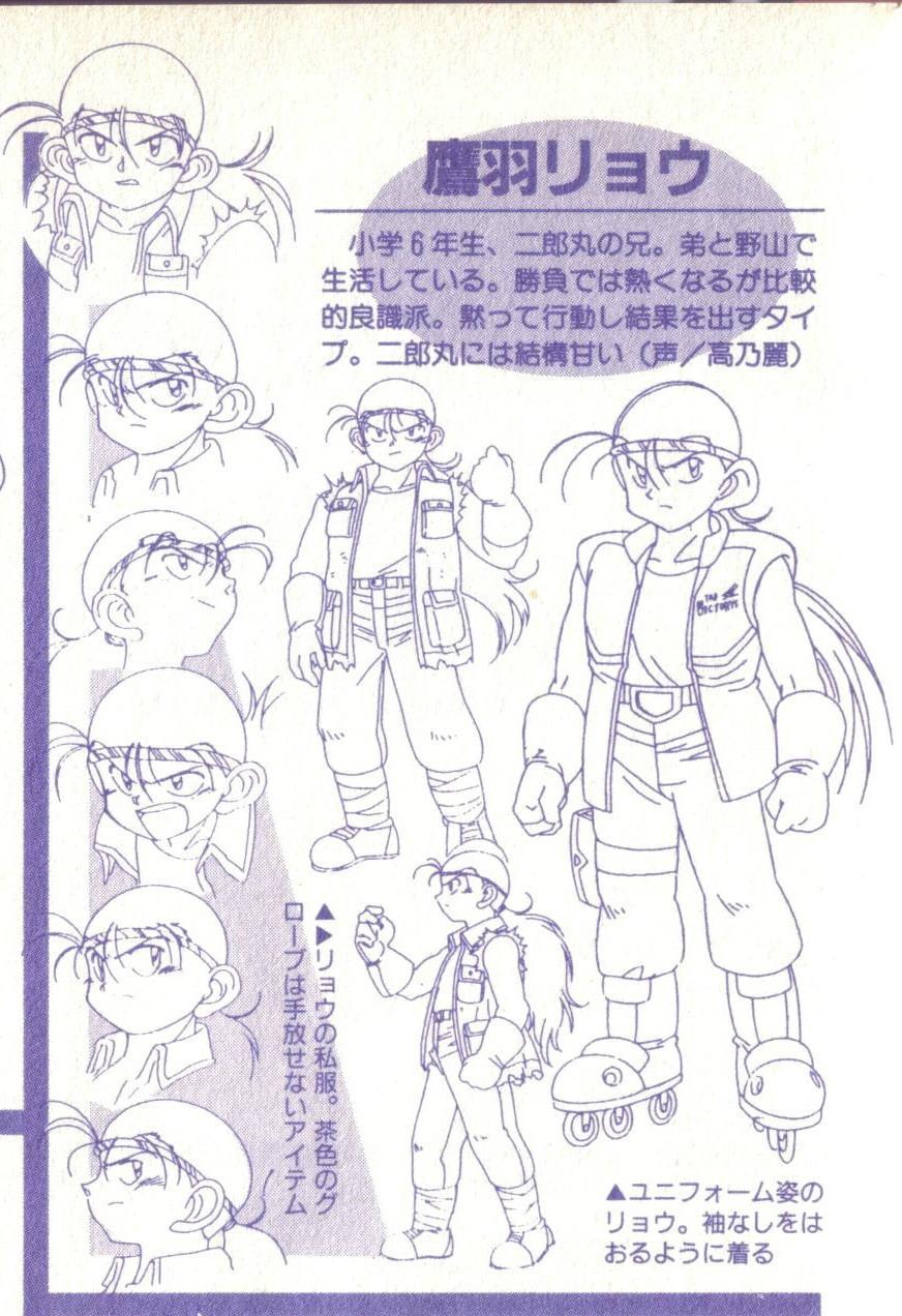 鹰羽龙 快懂百科
