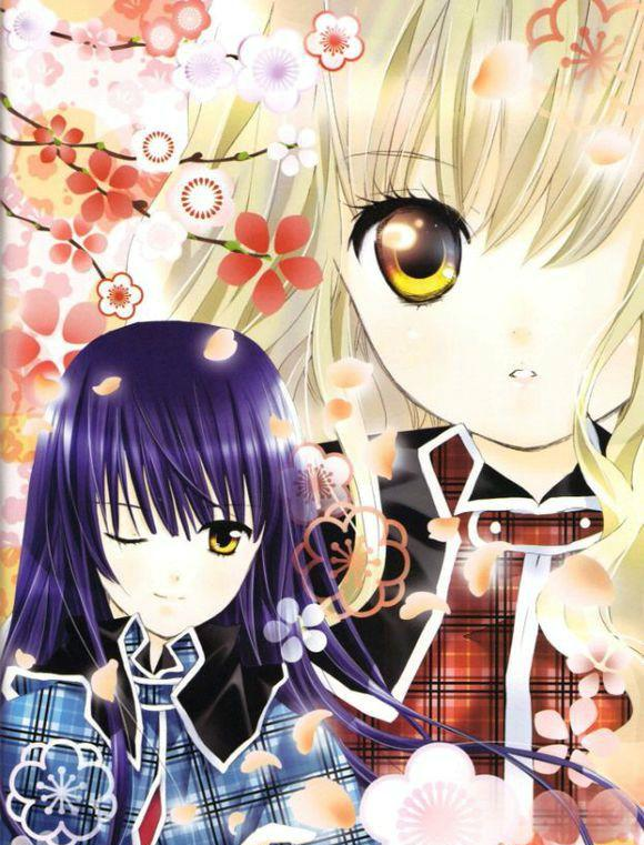 真城璃舞 快懂百科