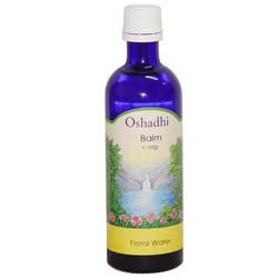 蜜蜂花精油 快懂百科