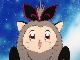 露比 怪盗圣少女中羽丘芽美宠物 头条百科