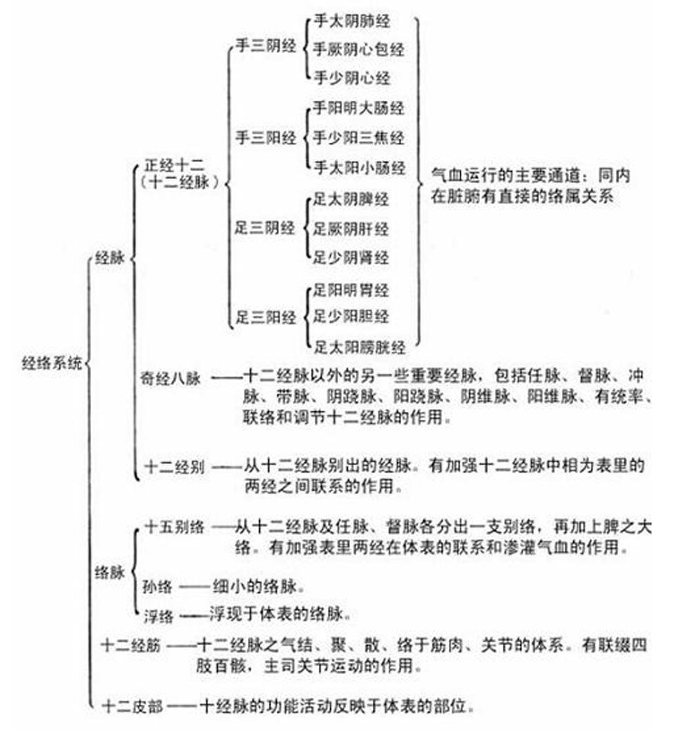 经络系统 快懂百科