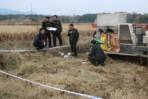 小池镇 安徽省安庆市太湖县辖镇 头条百科