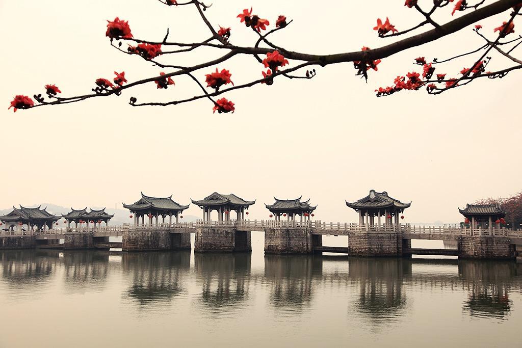 宝宝潮汕话起名怎么说（蜻蜓用你们家乡话怎么说的）