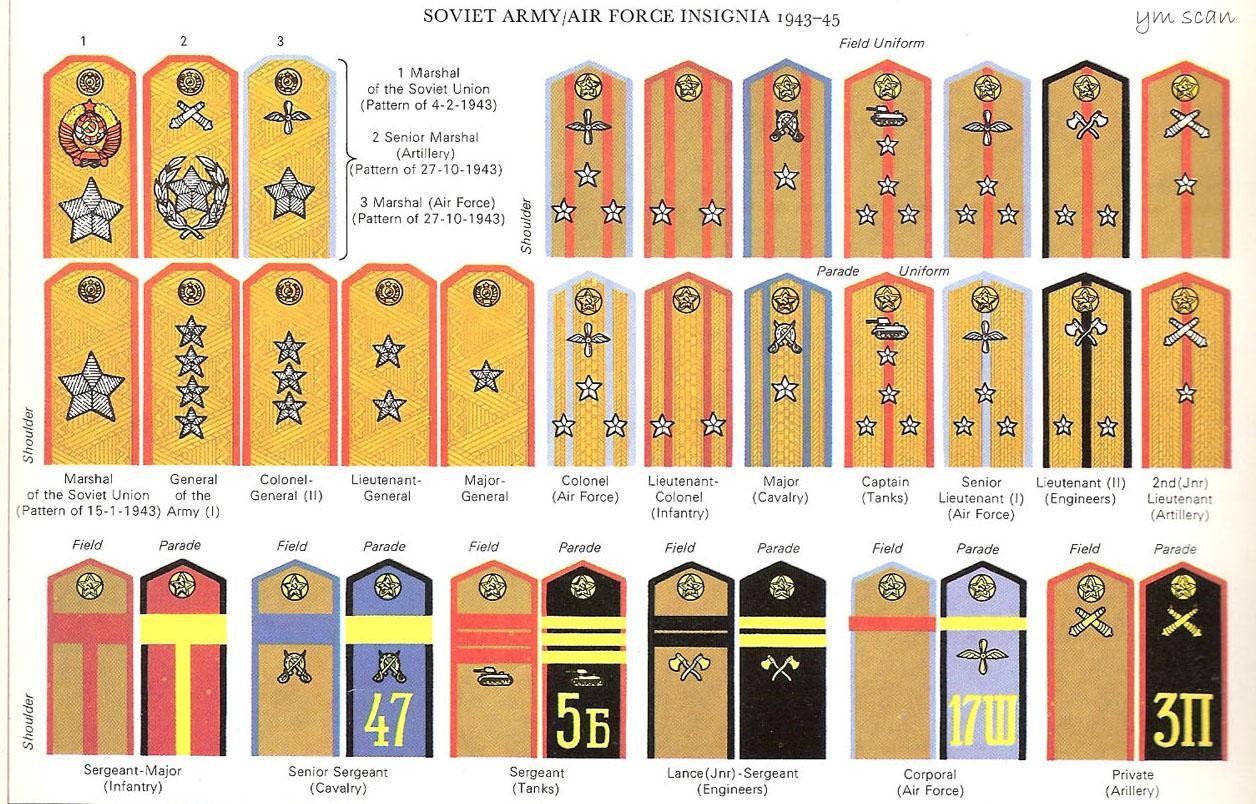 解放军第一次实行军衔制时佩戴的部分领章和兵种符号。-军事史-图片