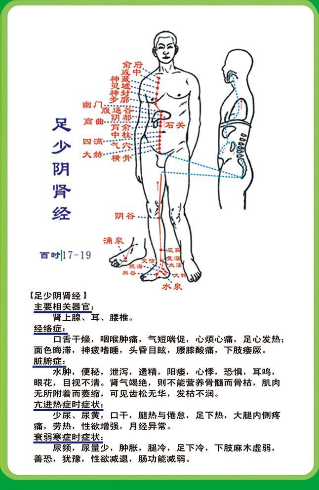 腿部肾经的位置图片图片