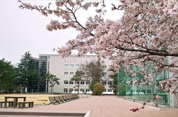日本国立大学 日本国立大学 头条百科