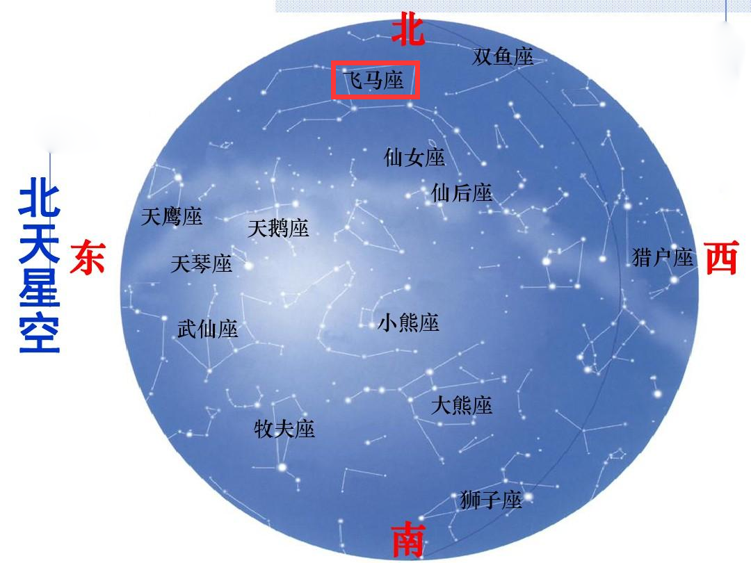 飞马座 快懂百科