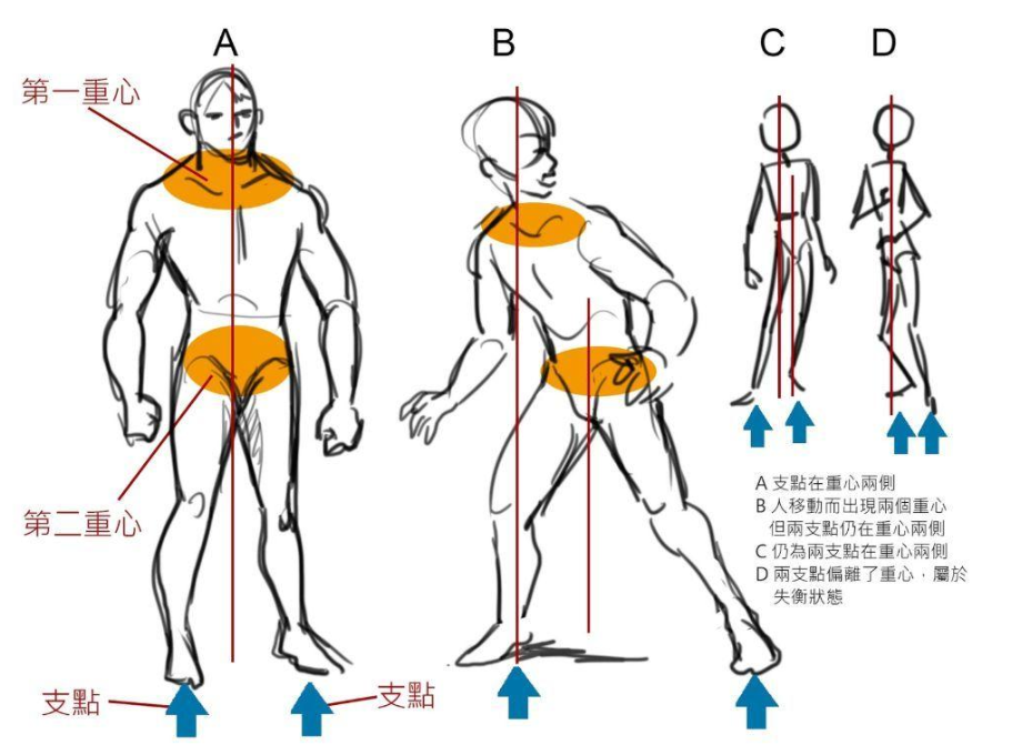 人体重心 快懂百科