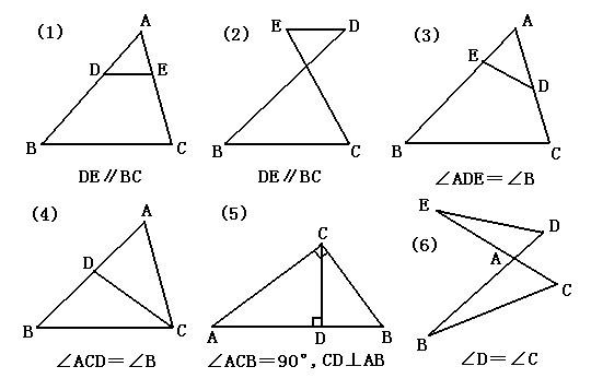 相似 数学名词 头条百科