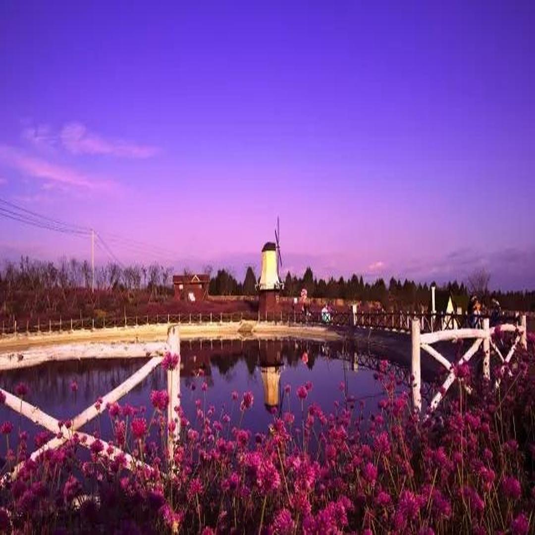 芦溪镇[四川省绵阳市三台县芦溪镇] - 头条百科