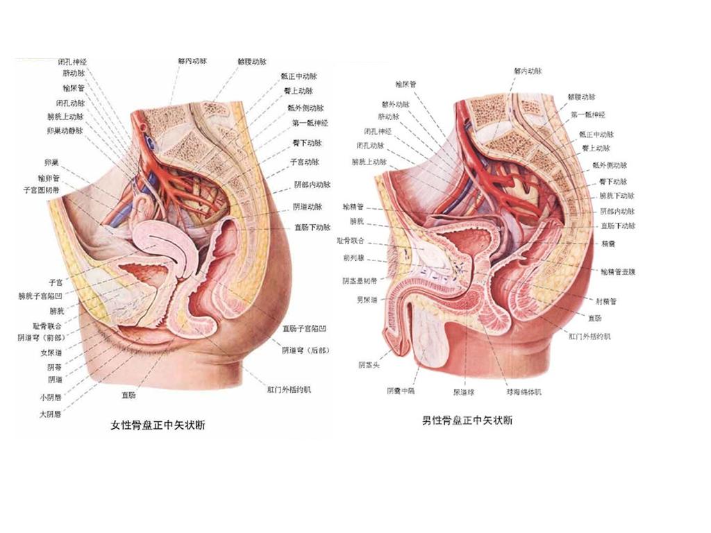 百科资源 快懂百科