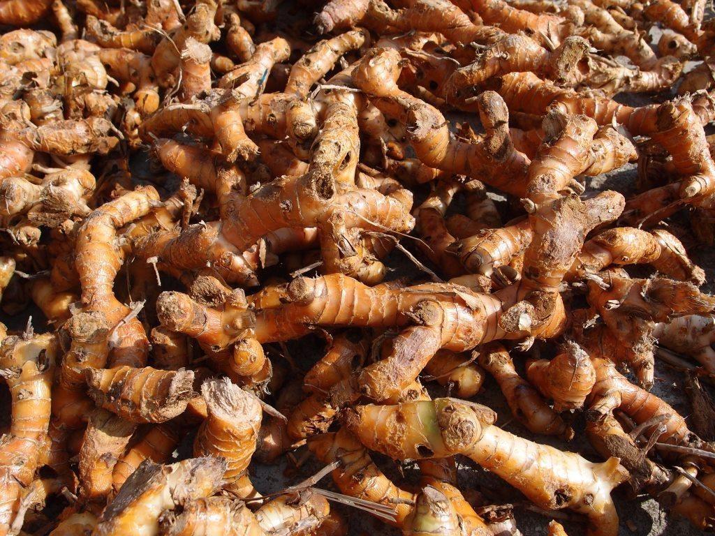 山东大黄姜10斤一件代发现挖老姜整箱5斤新鲜生沙姜干嫩姜块批发-阿里巴巴