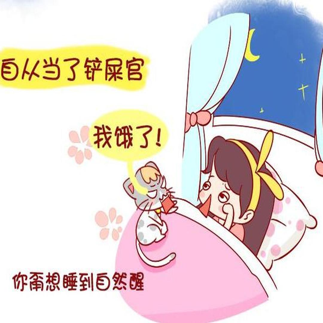 铲屎官