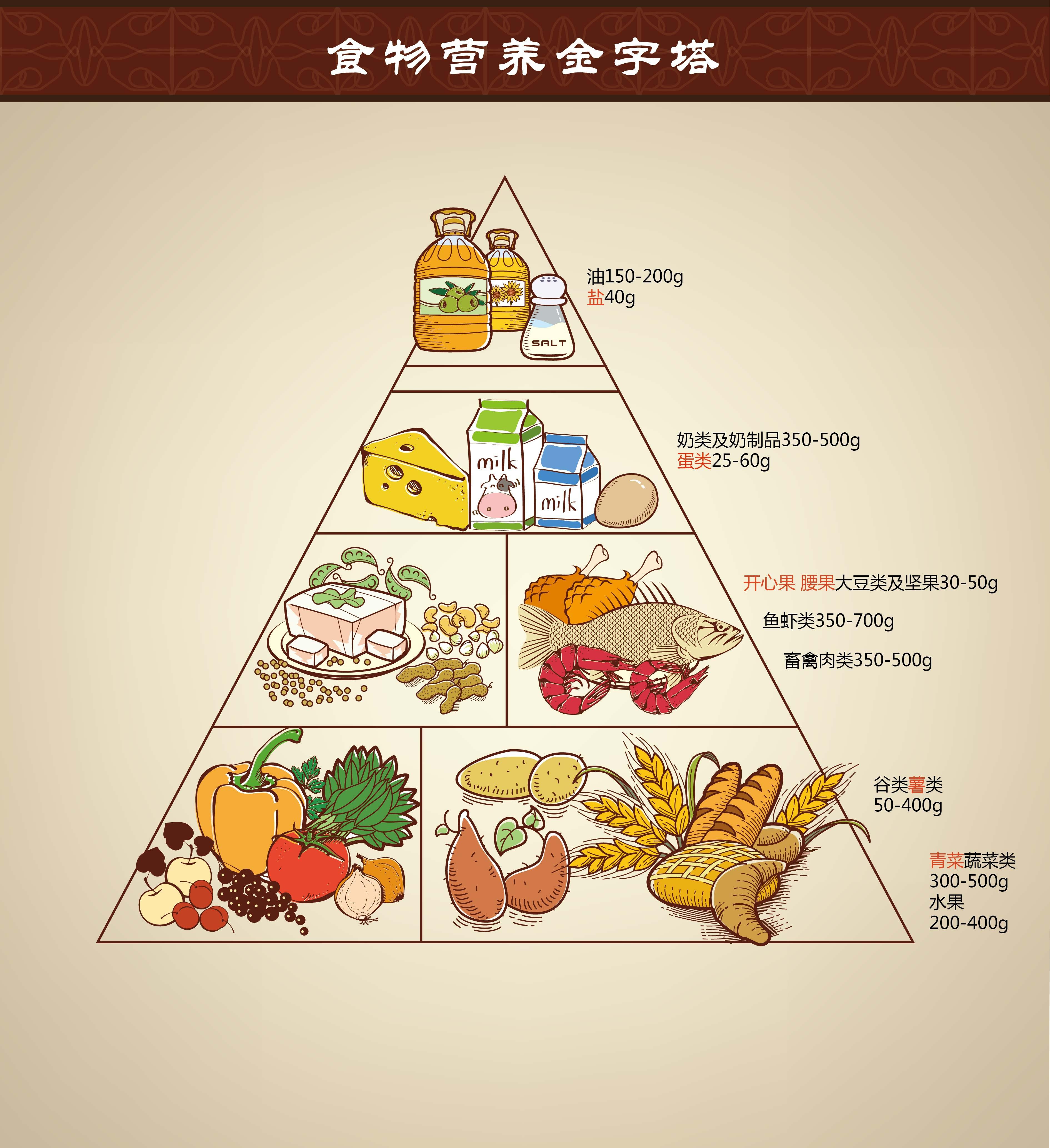 真正的健康飲食金字塔 - 可樂生活
