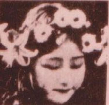 花柳春美 快懂百科