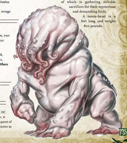 梦到癞蛤蟆，解读梦境中的隐秘寓意与心理启示