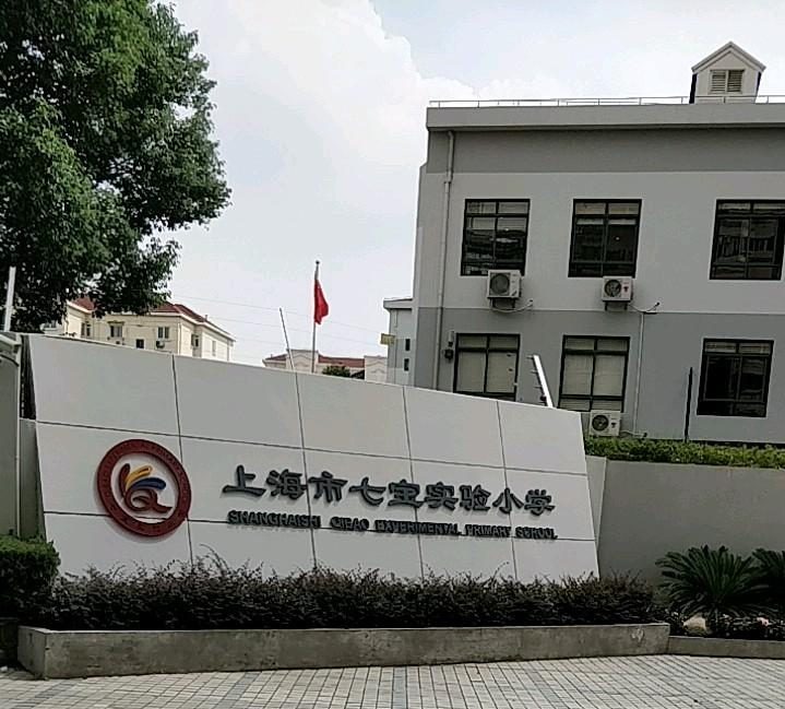 上海闵行七宝网站建设 头条百科