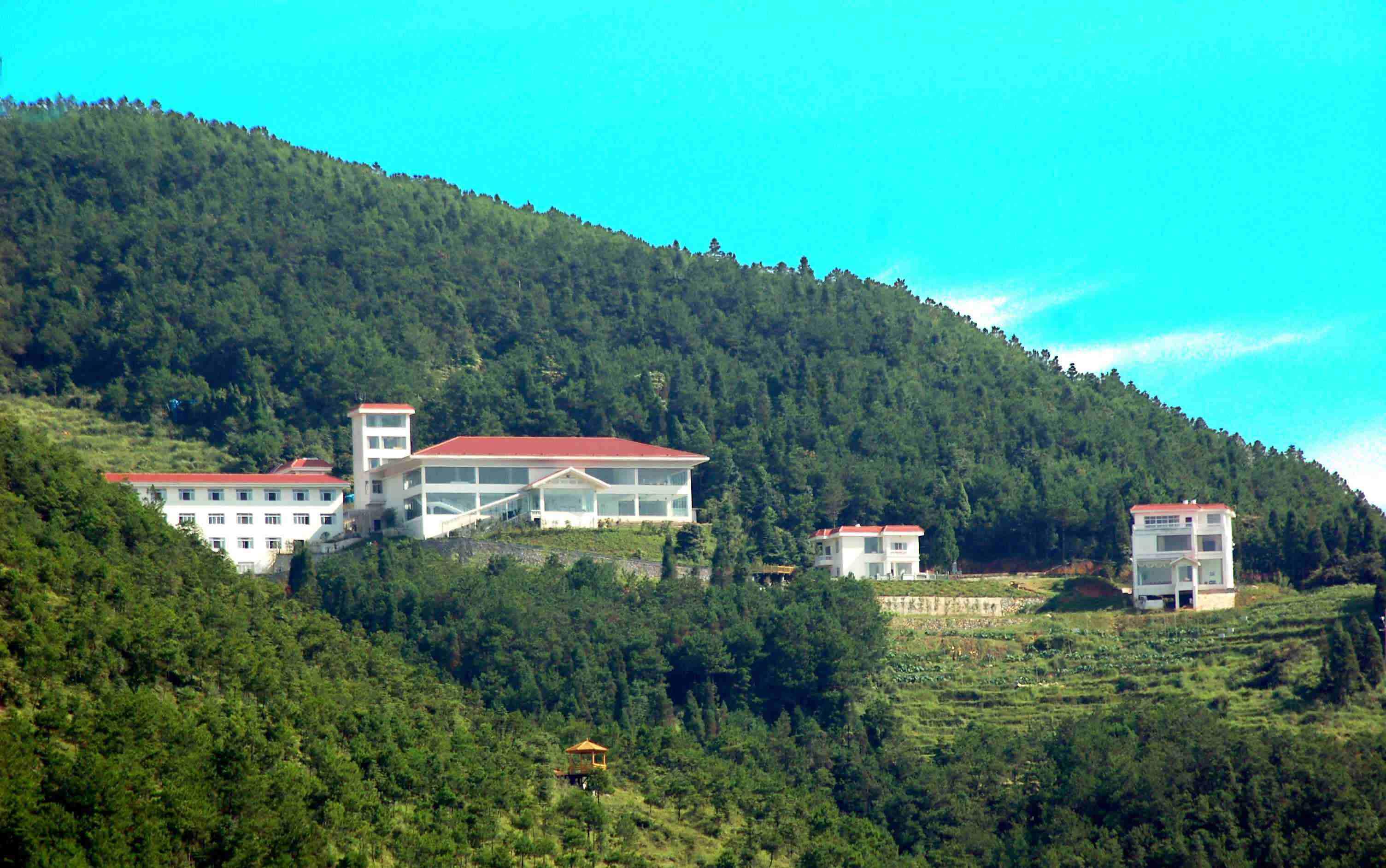 西村村 快懂百科