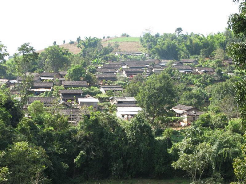南伞自然村