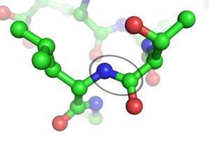 生物科学- 快懂百科
