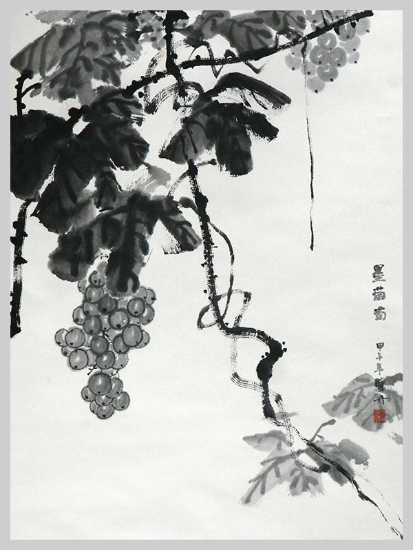 墨葡萄图 - 快懂百科