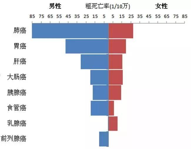 死亡率 快懂百科