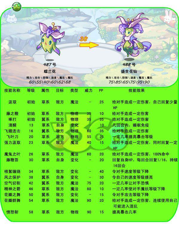 蝶兰花 蝶兰花 头条百科