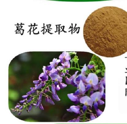 葛花提取物 葛花提取物 头条百科