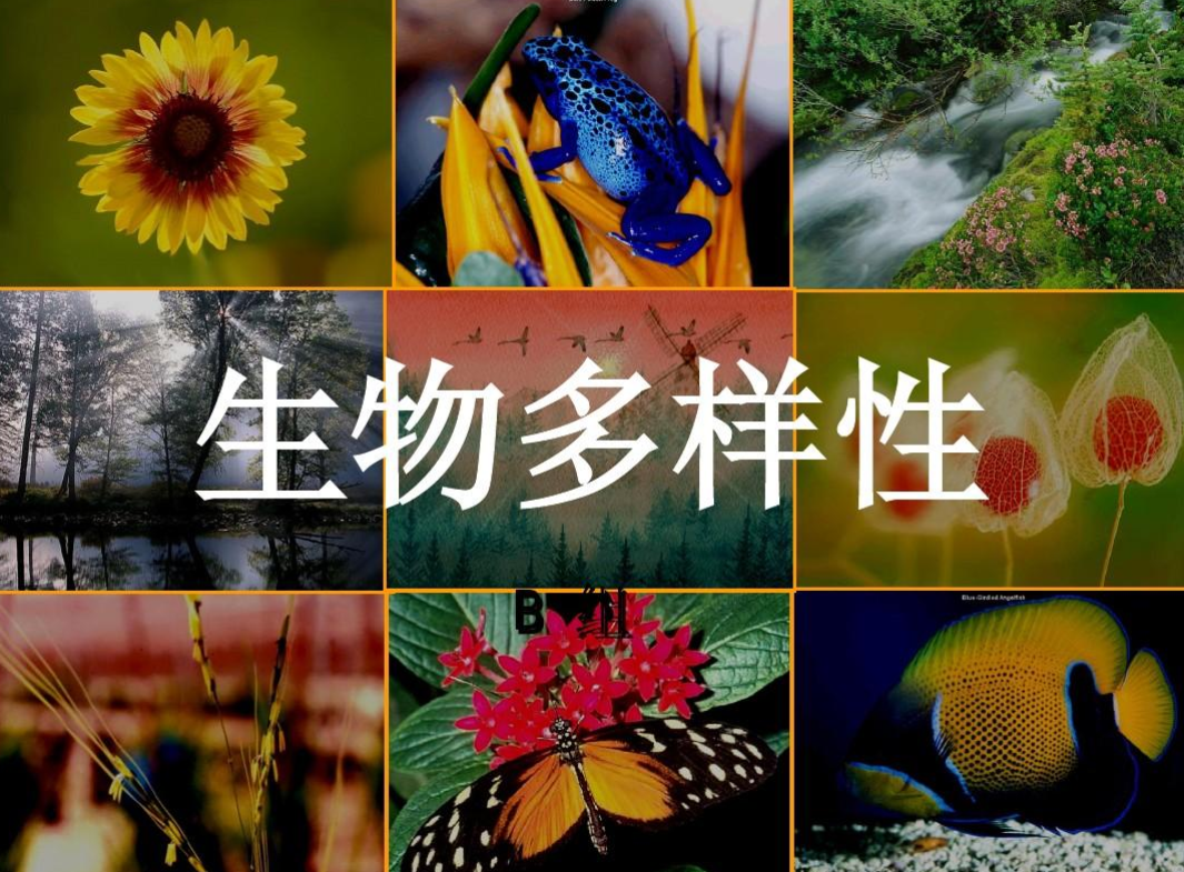 生物多样性 - 快懂百科