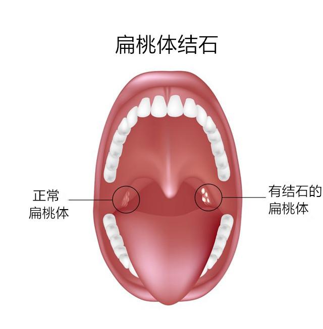 百科资源 快懂百科