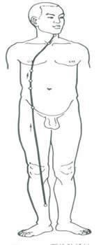 阴维脉 快懂百科