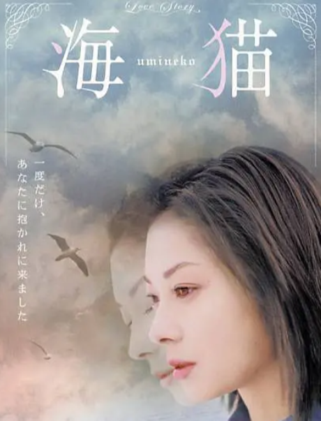 海猫 快懂百科