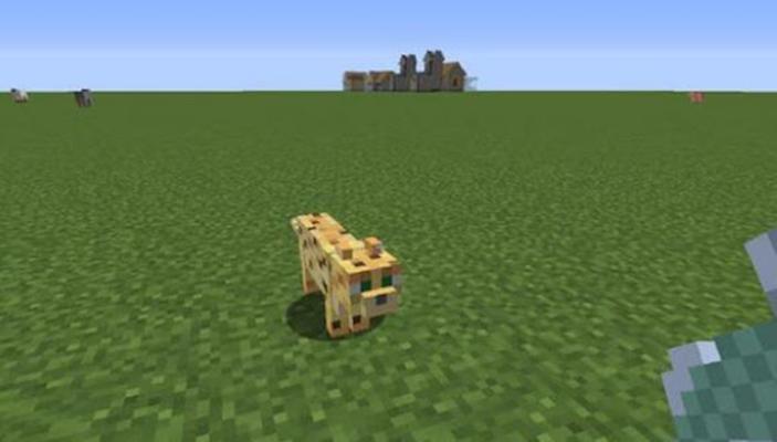 豹猫 Minecraft中的生物 头条百科