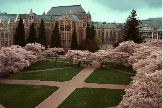 西雅图华盛顿大学