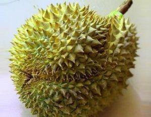 榴莲 快懂百科