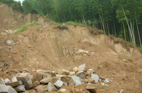 初育土 快懂百科