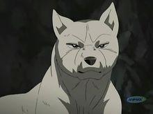 银牙传说 快懂百科