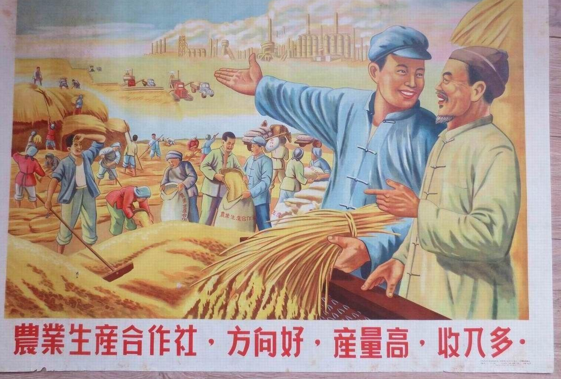 农业合作社 _ 全国农民合作社典型案例 _ 中国农大何秀荣教授：农业合作社的起源、发展和变革 – AIYO