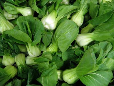 小白菜 快懂百科