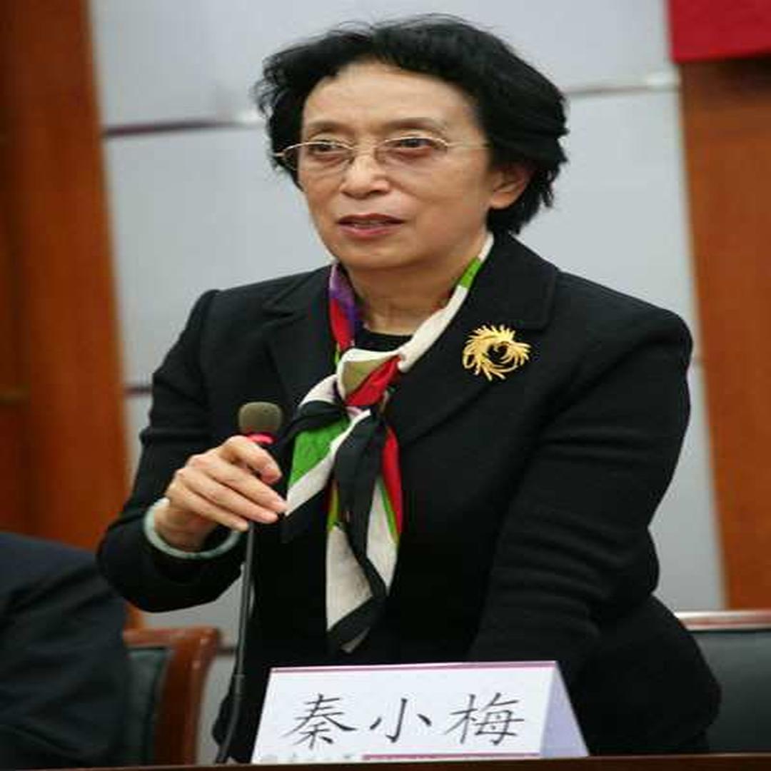 秦小梅 中国外交官联谊会副会长 头条百科