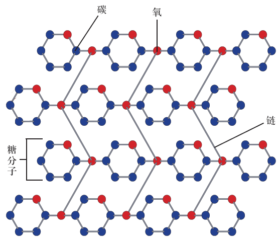 纤维素 快懂百科