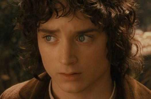 佛罗多·巴金斯