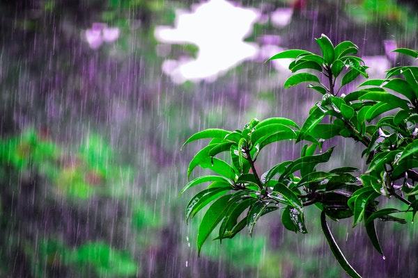 梅雨 快懂百科