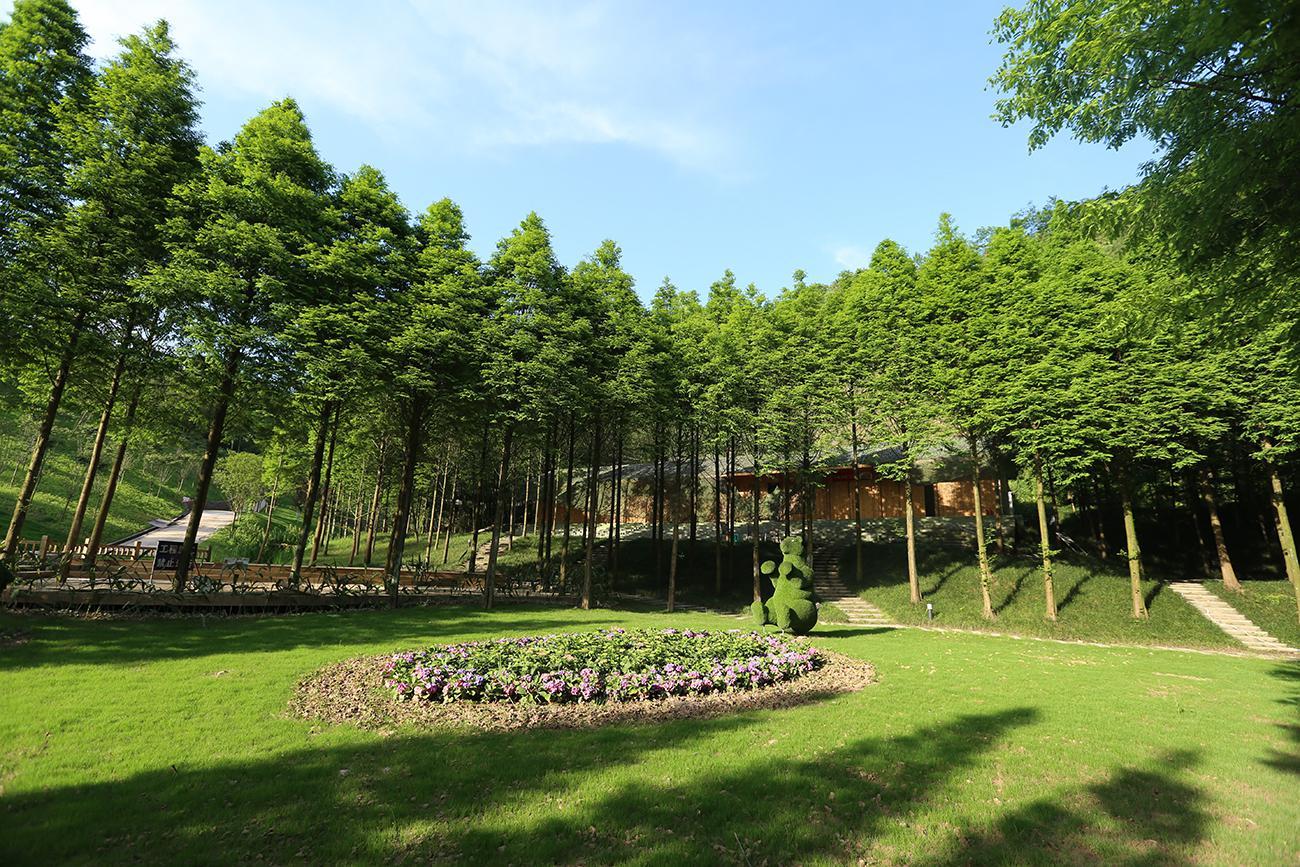 花溪谷[四川省大邑县风景区]